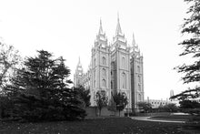 Load image into Gallery viewer, A Place of Peace Salt Lake City