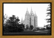 Load image into Gallery viewer, A Place of Peace Salt Lake City