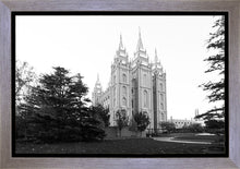 Load image into Gallery viewer, A Place of Peace Salt Lake City