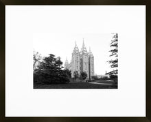 Load image into Gallery viewer, A Place of Peace Salt Lake City