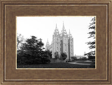 Load image into Gallery viewer, A Place of Peace Salt Lake City