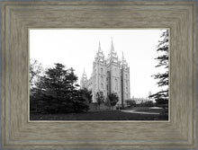 Load image into Gallery viewer, A Place of Peace Salt Lake City