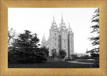 Load image into Gallery viewer, A Place of Peace Salt Lake City