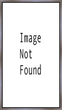 Load image into Gallery viewer, Provo City Center Arise and Stand Forth