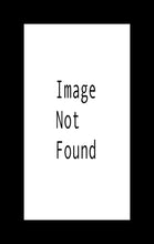 Load image into Gallery viewer, Provo City Center Arise and Stand Forth
