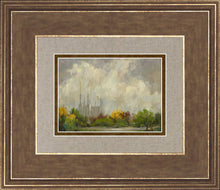 Load image into Gallery viewer, Washington DC Temple