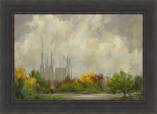 Load image into Gallery viewer, Washington DC Temple