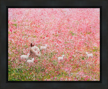 Load image into Gallery viewer, Shepherd's Rest