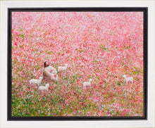 Load image into Gallery viewer, Shepherd's Rest