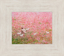 Load image into Gallery viewer, Shepherd's Rest