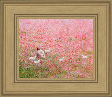 Load image into Gallery viewer, Shepherd's Rest
