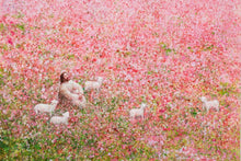 Load image into Gallery viewer, Shepherd's Rest