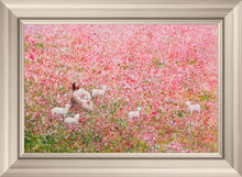 Load image into Gallery viewer, Shepherd's Rest