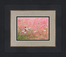 Load image into Gallery viewer, Shepherd's Rest
