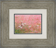 Load image into Gallery viewer, Shepherd's Rest