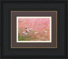 Load image into Gallery viewer, Shepherd's Rest