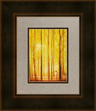 Load image into Gallery viewer, Awesome Wonder