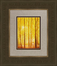 Load image into Gallery viewer, Awesome Wonder