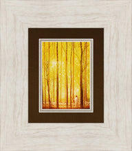 Load image into Gallery viewer, Awesome Wonder