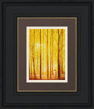 Load image into Gallery viewer, Awesome Wonder
