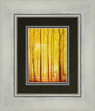 Load image into Gallery viewer, Awesome Wonder