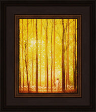 Load image into Gallery viewer, Awesome Wonder