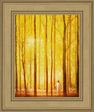 Load image into Gallery viewer, Awesome Wonder