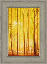 Load image into Gallery viewer, Awesome Wonder