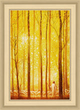 Load image into Gallery viewer, Awesome Wonder