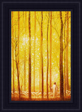 Load image into Gallery viewer, Awesome Wonder