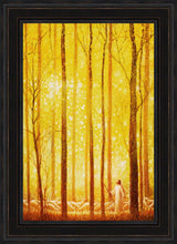Load image into Gallery viewer, Awesome Wonder