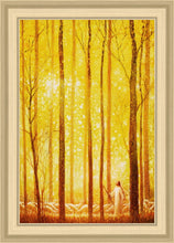 Load image into Gallery viewer, Awesome Wonder