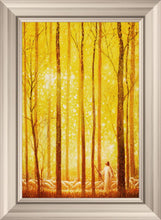 Load image into Gallery viewer, Awesome Wonder