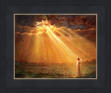 Load image into Gallery viewer, Rejoice in His Light