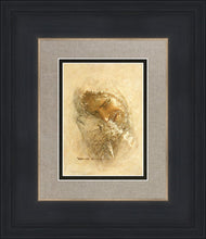Load image into Gallery viewer, Found