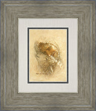 Load image into Gallery viewer, Found