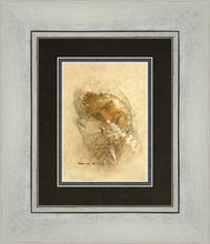 Load image into Gallery viewer, Found