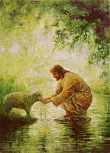 Load image into Gallery viewer, Gentle Shepherd