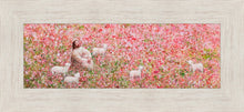 Load image into Gallery viewer, Shepherd's Rest