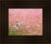 Load image into Gallery viewer, Shepherd's Rest