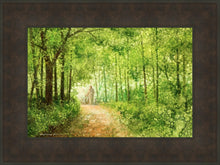 Load image into Gallery viewer, Lead Thou Me On