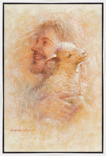 Load image into Gallery viewer, Little Lamb