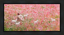 Load image into Gallery viewer, Shepherd's Rest