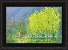 Load image into Gallery viewer, Moment of Peace
