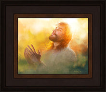 Load image into Gallery viewer, A Perfect Peace