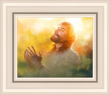 Load image into Gallery viewer, A Perfect Peace