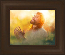 Load image into Gallery viewer, A Perfect Peace