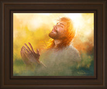 Load image into Gallery viewer, A Perfect Peace