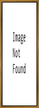 Load image into Gallery viewer, The First Gift
