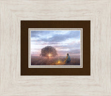 Load image into Gallery viewer, The Light of Life